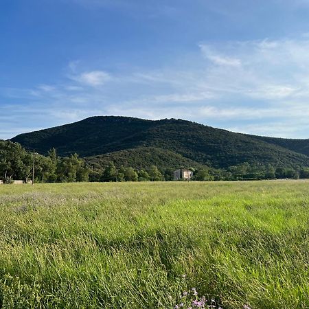 Mas Grenadine, Magnifique Villa Du Piemont Cevenol Sauve Екстериор снимка