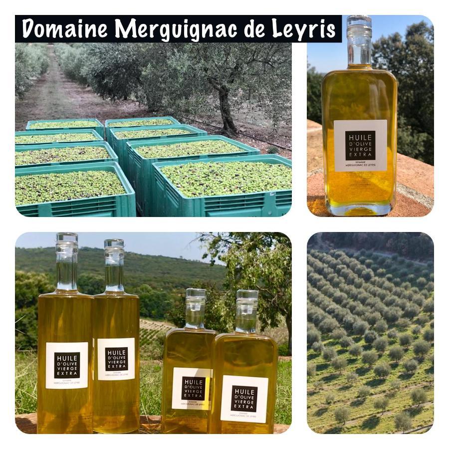 Mas Grenadine, Magnifique Villa Du Piemont Cevenol Sauve Екстериор снимка