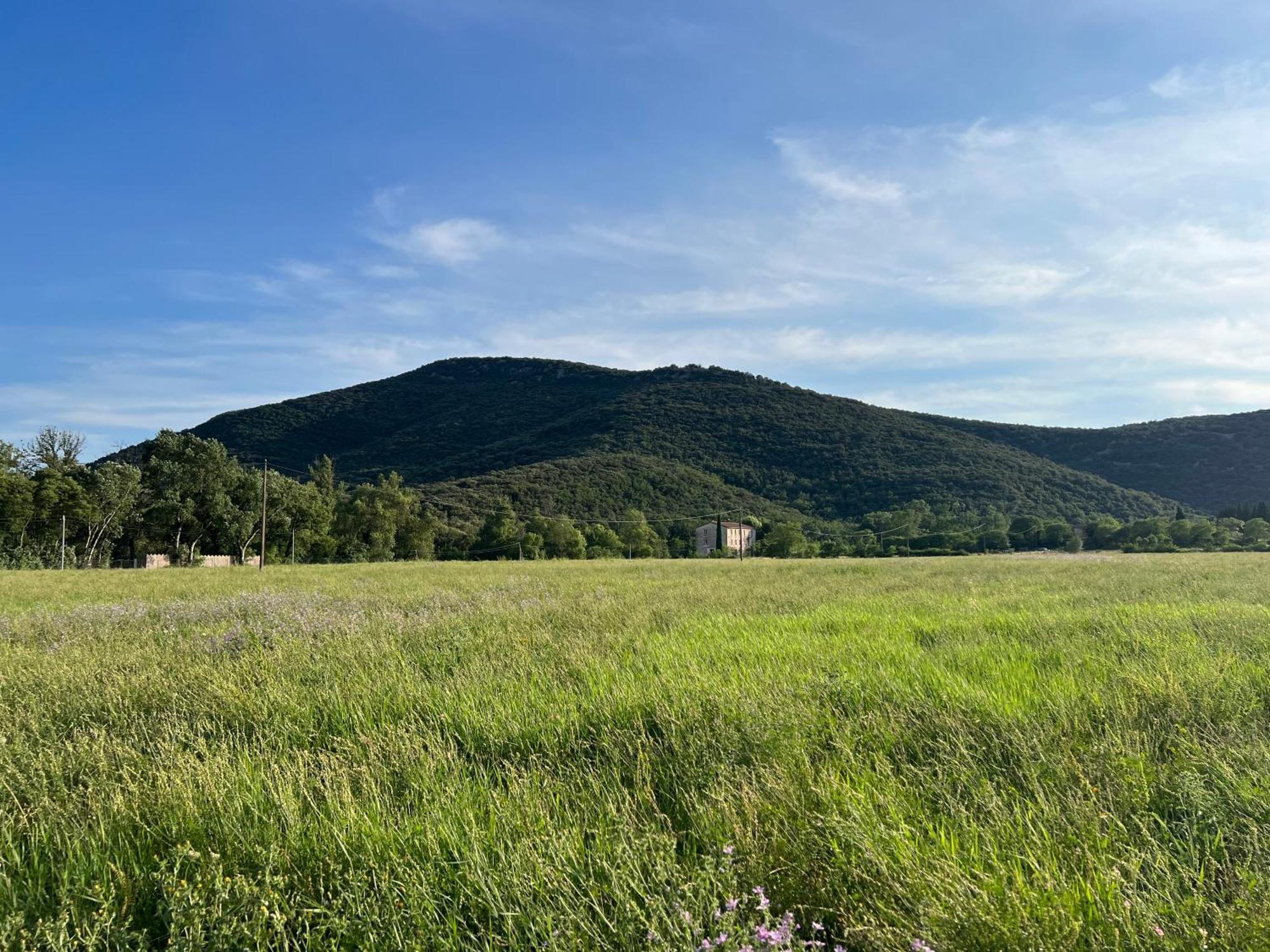 Mas Grenadine, Magnifique Villa Du Piemont Cevenol Sauve Екстериор снимка